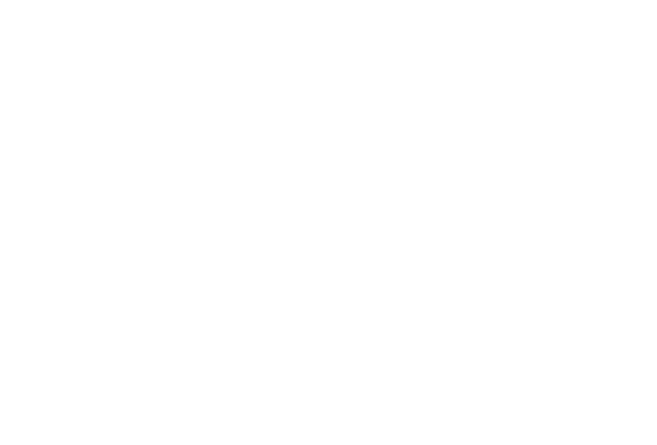 Journey Sports Group